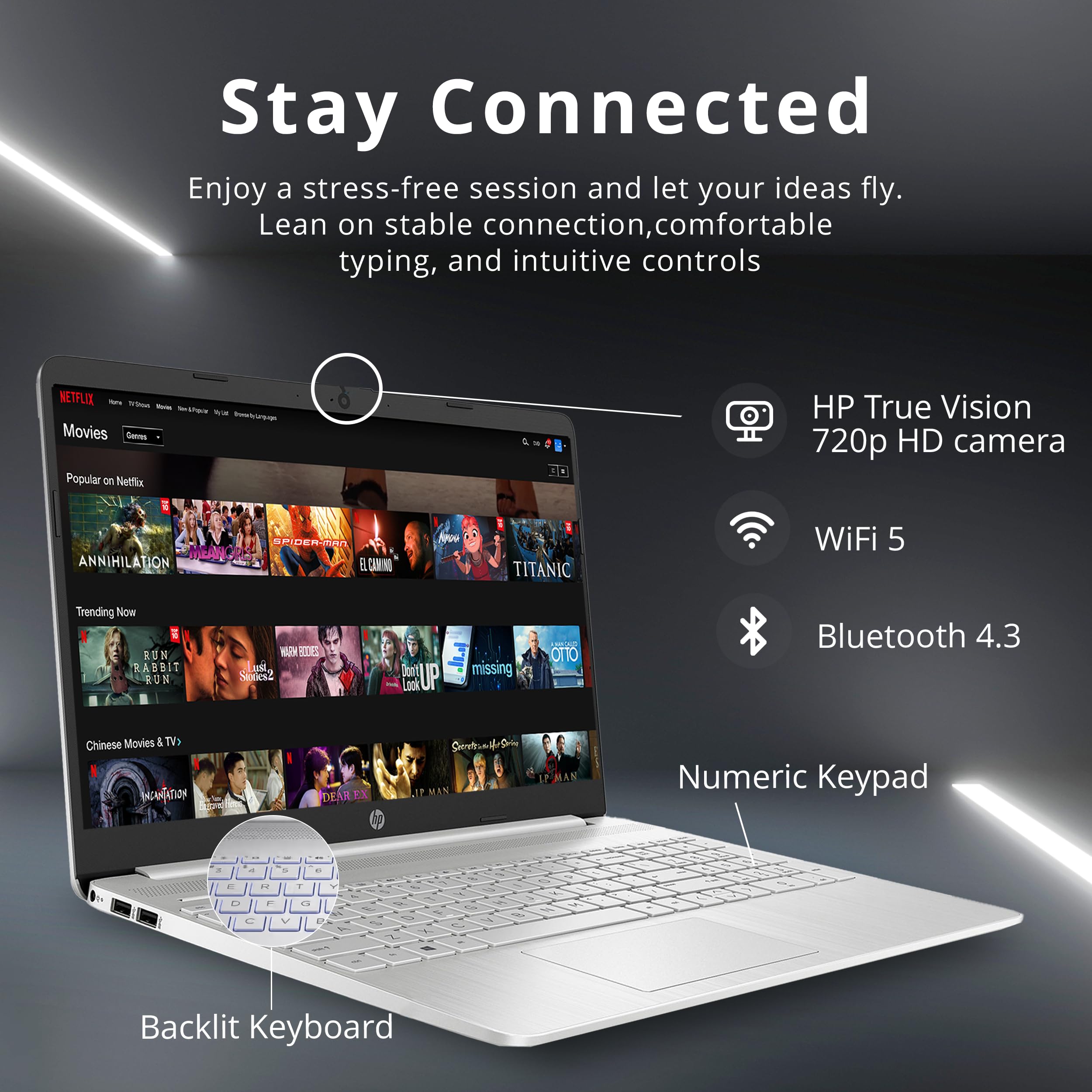 Amazon.com: HP 15.6